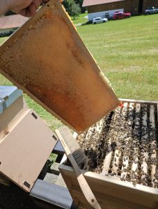 Screenshot_20250227_192456_WhatsApp