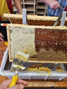 Screenshot_20250227_192459_WhatsApp